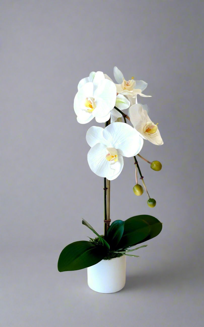 Real Touch Single White Orchid