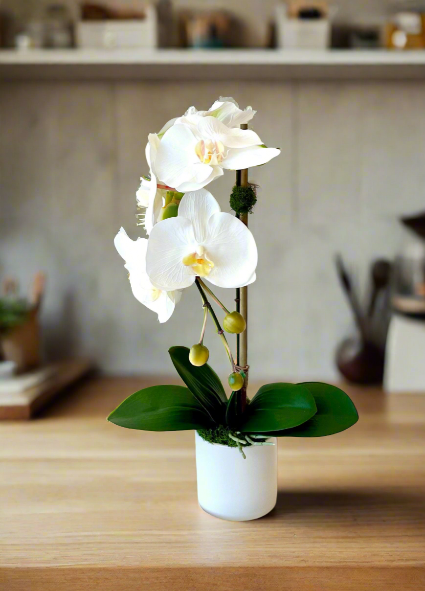 Real Touch Single White Orchid
