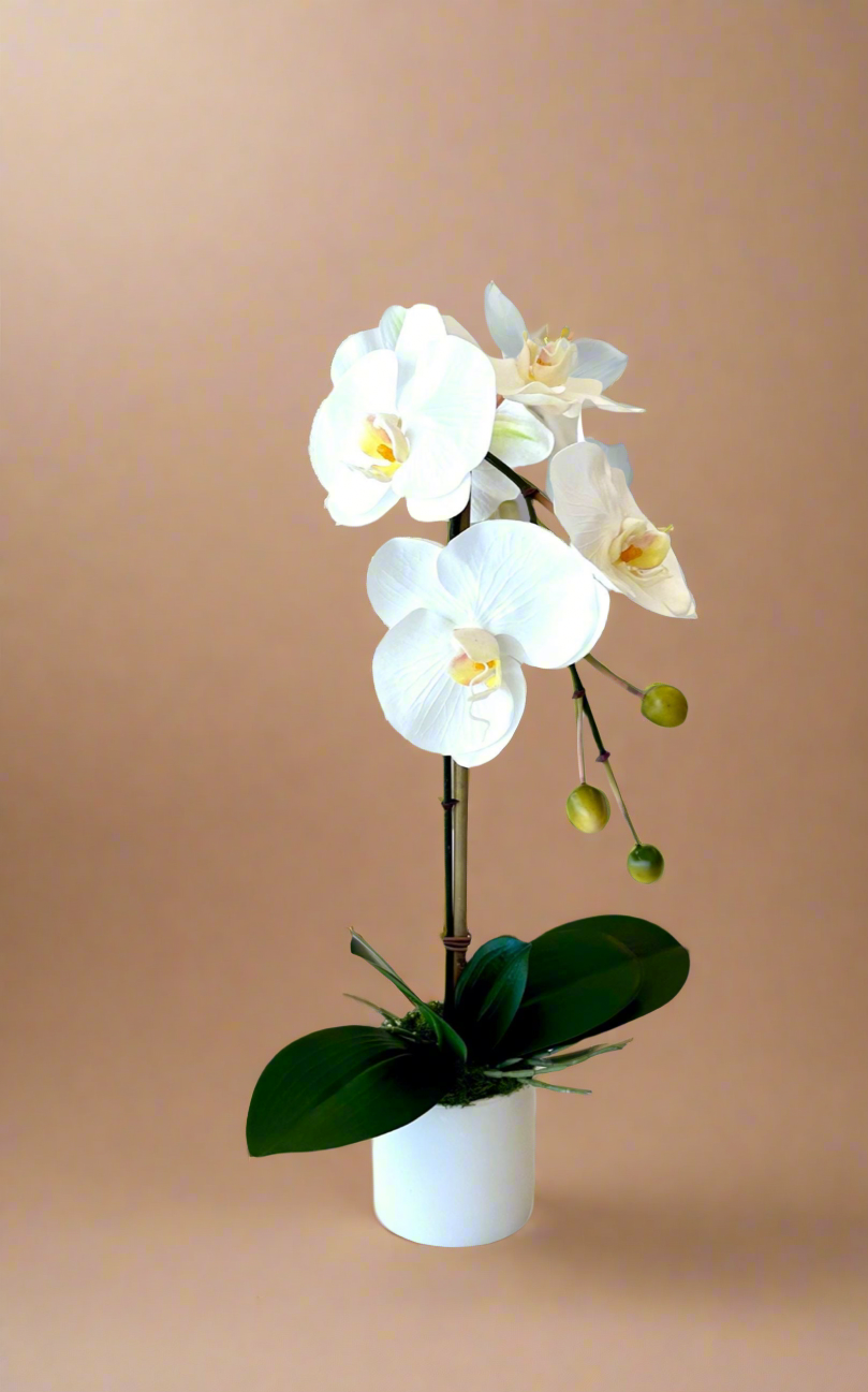 Real Touch Single White Orchid
