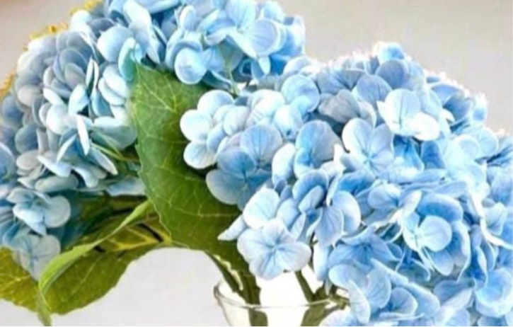 Large Real Touch White Hydrangea Floral Decor