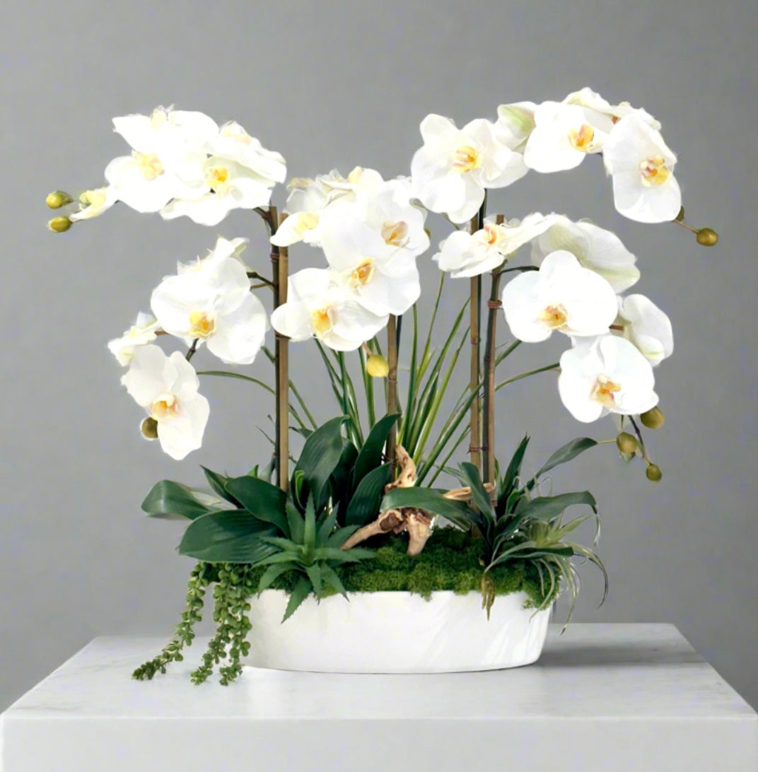 Real Touch Faux White Orchid Arrangement with Succulent and Wood Accents