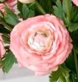 Real Touch Ranunculus Floral Arrangement: Pink Centerpiece, Faux Water
