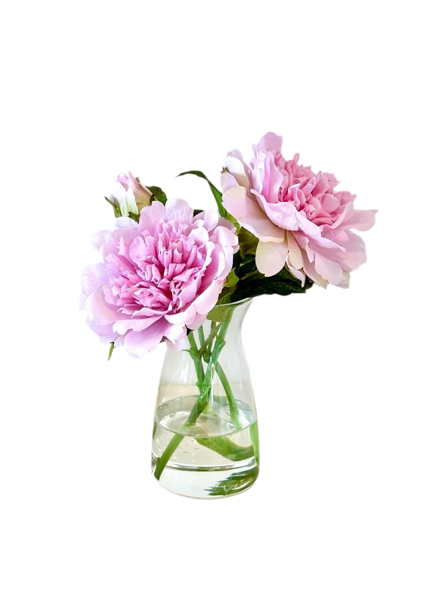 Real Touch Faux Peony Floral Arrangement