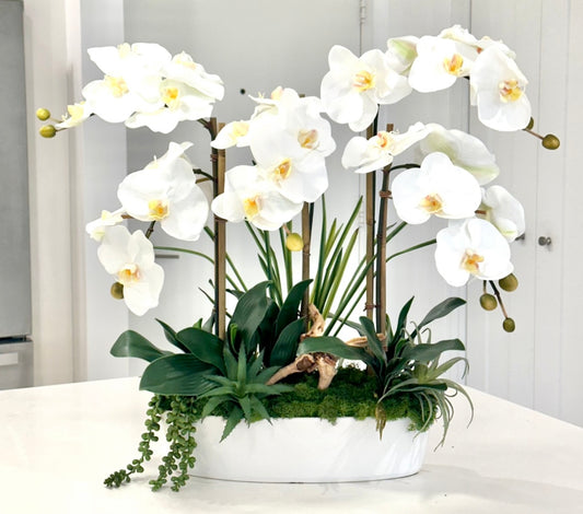 Real Touch Faux White Orchid Arrangement with Succulent and Wood Accents