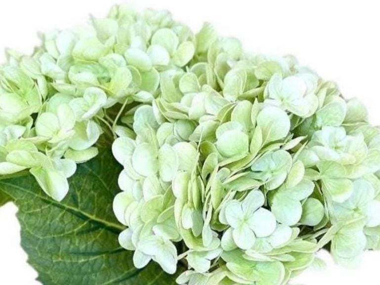 Luxury Real Touch White Hydrangea Centerpiece: Elegant Floral Arrangement