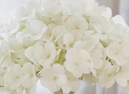 Real Touch Hydrangea & Rose Gift Box Floral Arrangement in Glass Vase and Faux Water