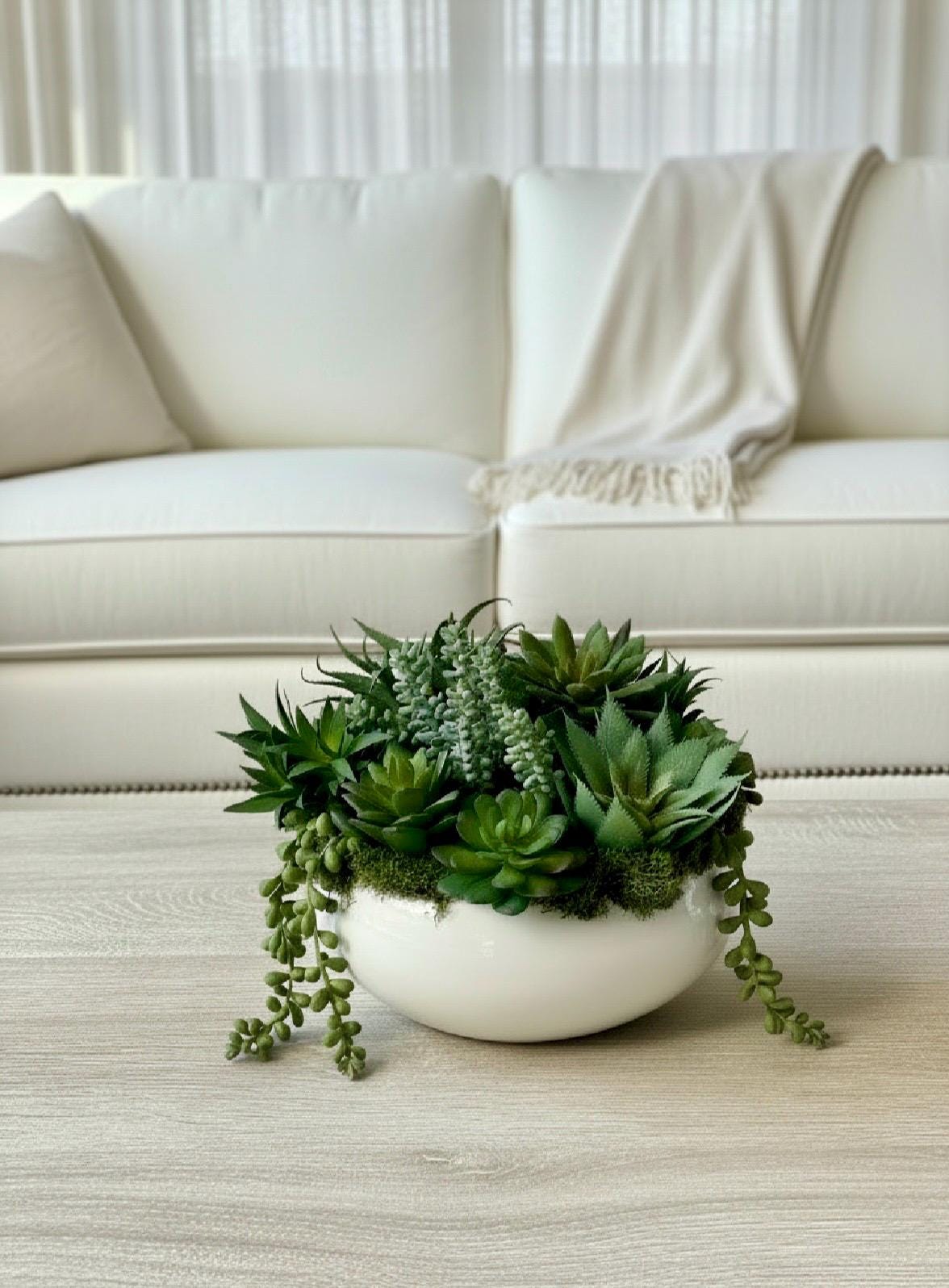 High Quality Succulent Arrangement in White Ceramic Planter: 9" Diameter