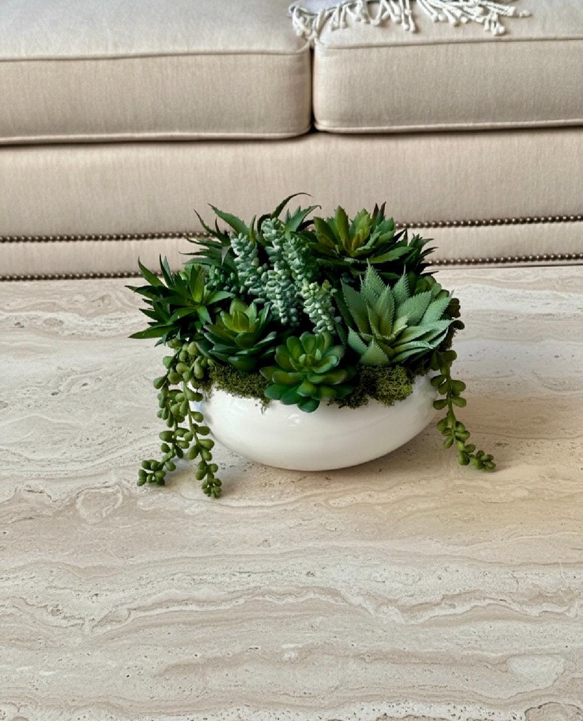 High Quality Succulent Arrangement in White Ceramic Planter: 9" Diameter