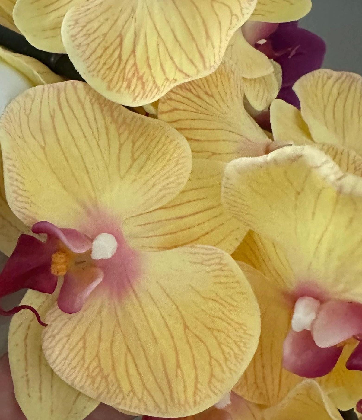 Real Touch Fuchsia Orchid Arrangement: Tall Faux Centerpiece