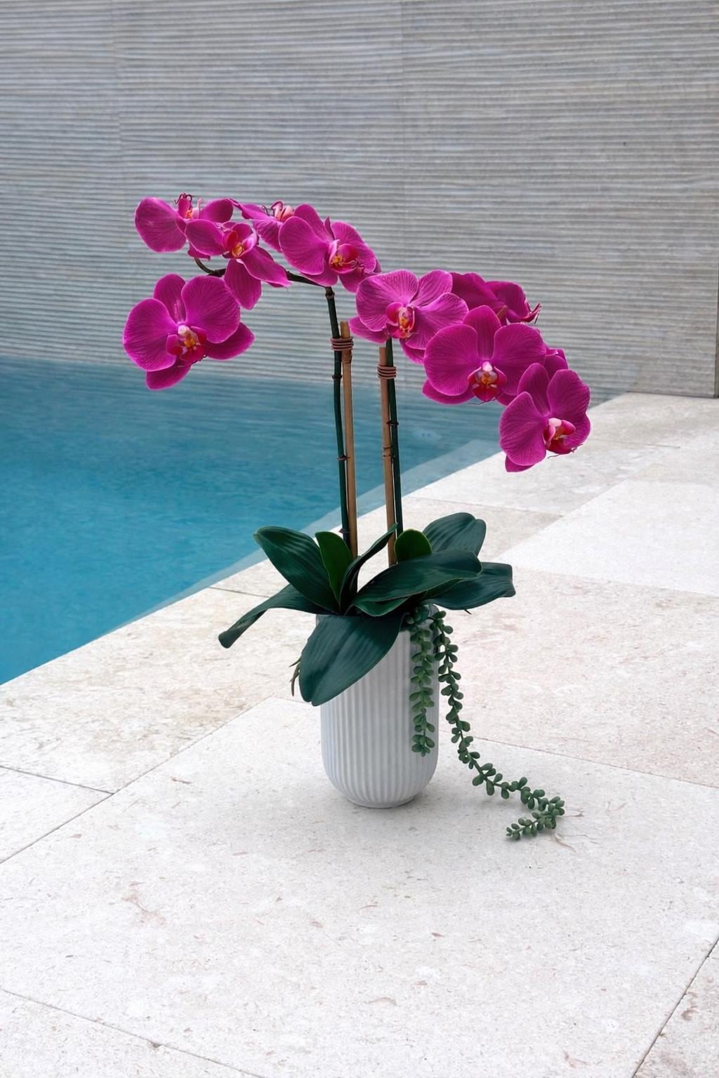 Real Touch Yellow or Fuchsia Orchid Arrangement: Tall Faux Centerpiece