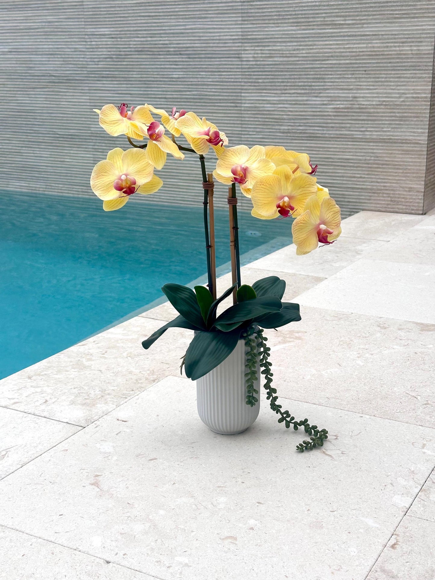 Real Touch Yellow or Fuchsia Orchid Arrangement: Tall Faux Centerpiece