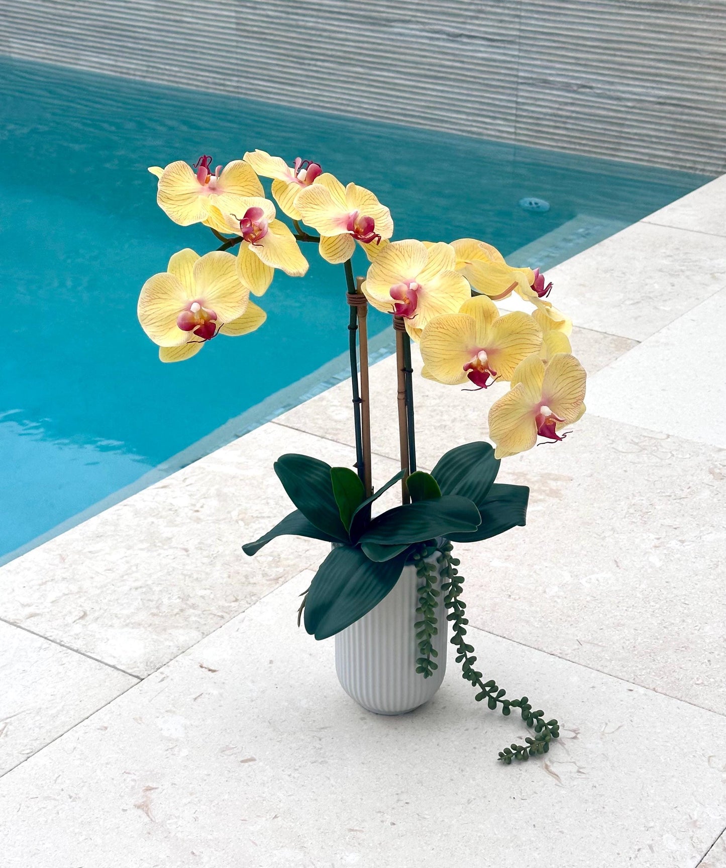Real Touch Yellow or Fuchsia Orchid Arrangement: Tall Faux Centerpiece