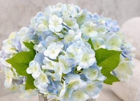 Real Touch Floral Decor Hydrangea & Rose Arrangement, Floral Centerpiece in Glass Vase