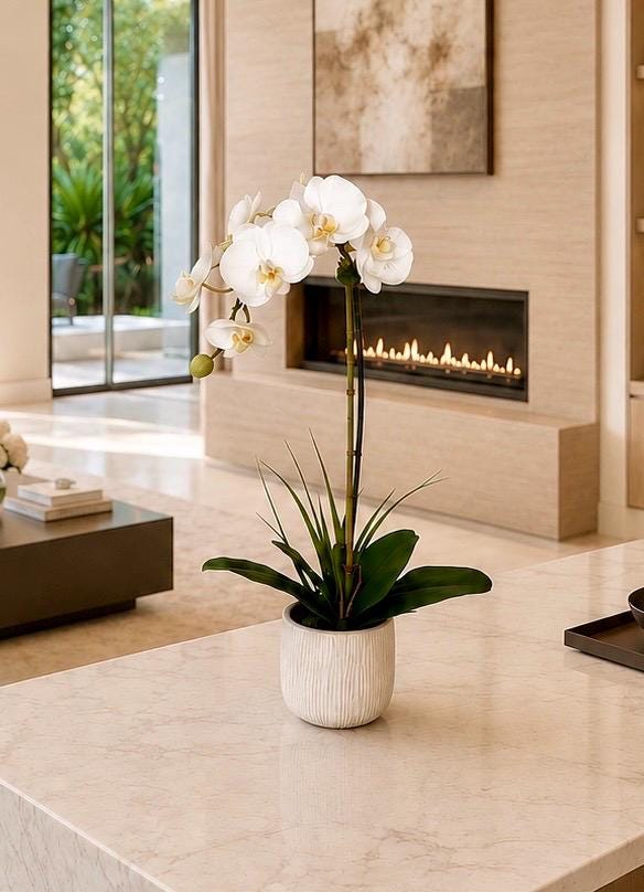 Real Touch White Orchid Arrangement in Textured Tan & Cream Ceramic Pot, 20” Tall Faux Orchid, Luxury Orchid Centerpiece, Modern Home Decor