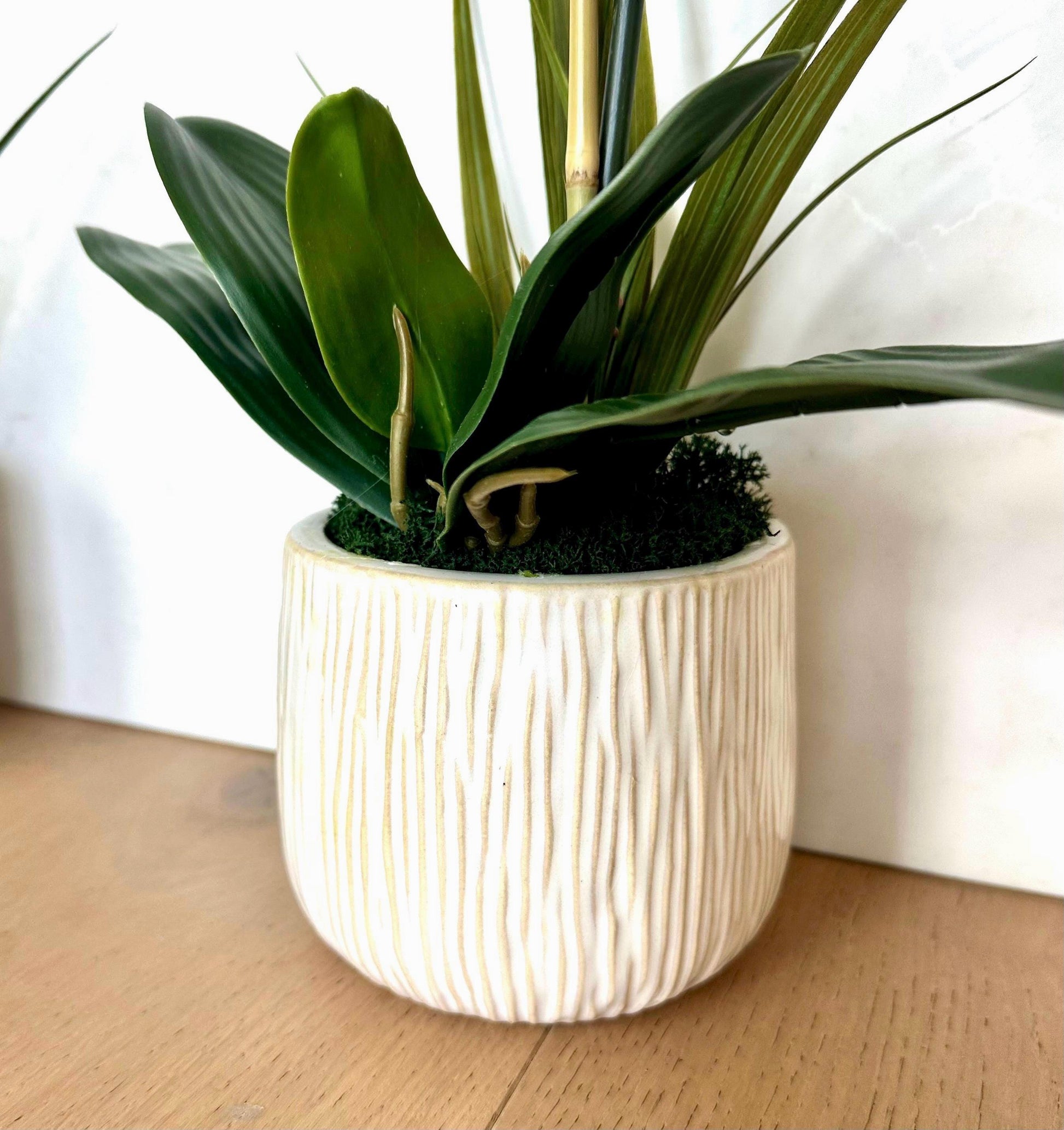 Real Touch White Orchid Arrangement in Textured Tan & Cream Ceramic Pot, 20” Tall Faux Orchid, Luxury Orchid Centerpiece, Modern Home Decor