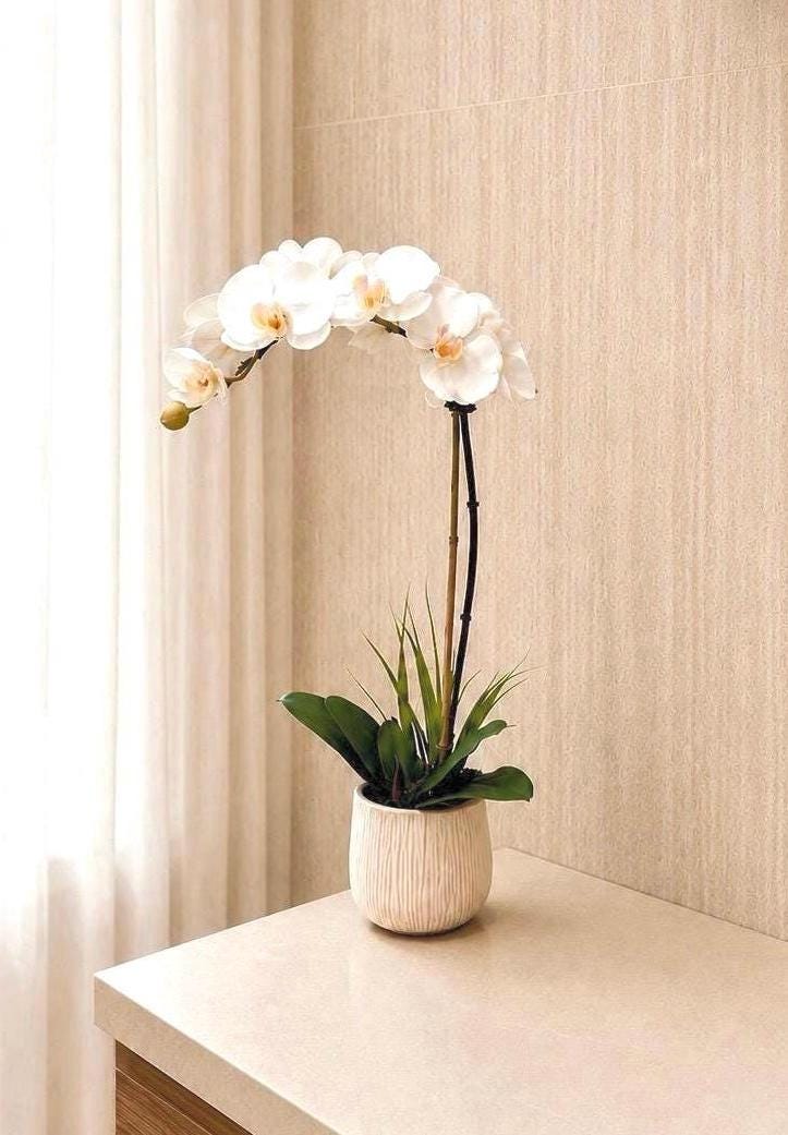 Real Touch White Orchid Arrangement in Textured Tan & Cream Ceramic Pot, 20” Tall Faux Orchid, Luxury Orchid Centerpiece, Modern Home Decor
