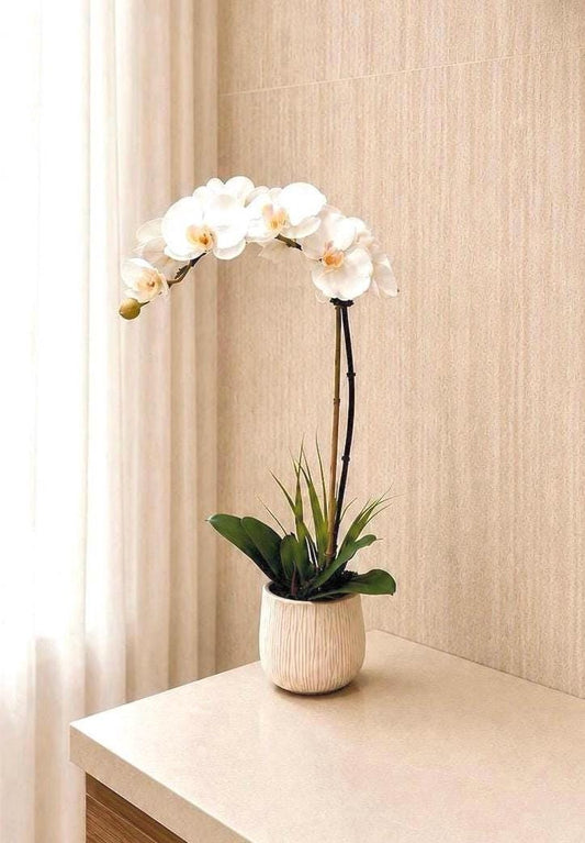Real Touch White Orchid Arrangement in Textured Tan & Cream Ceramic Pot, 20” Tall Faux Orchid, Luxury Orchid Centerpiece, Modern Home Decor