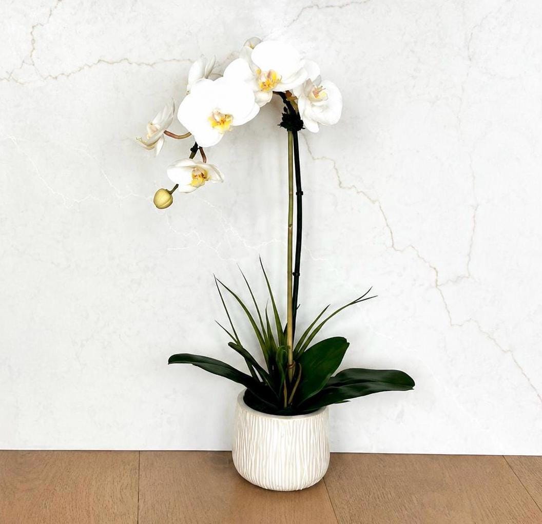 Real Touch White Orchid Arrangement in Textured Tan & Cream Ceramic Pot, 20” Tall Faux Orchid, Luxury Orchid Centerpiece, Modern Home Decor