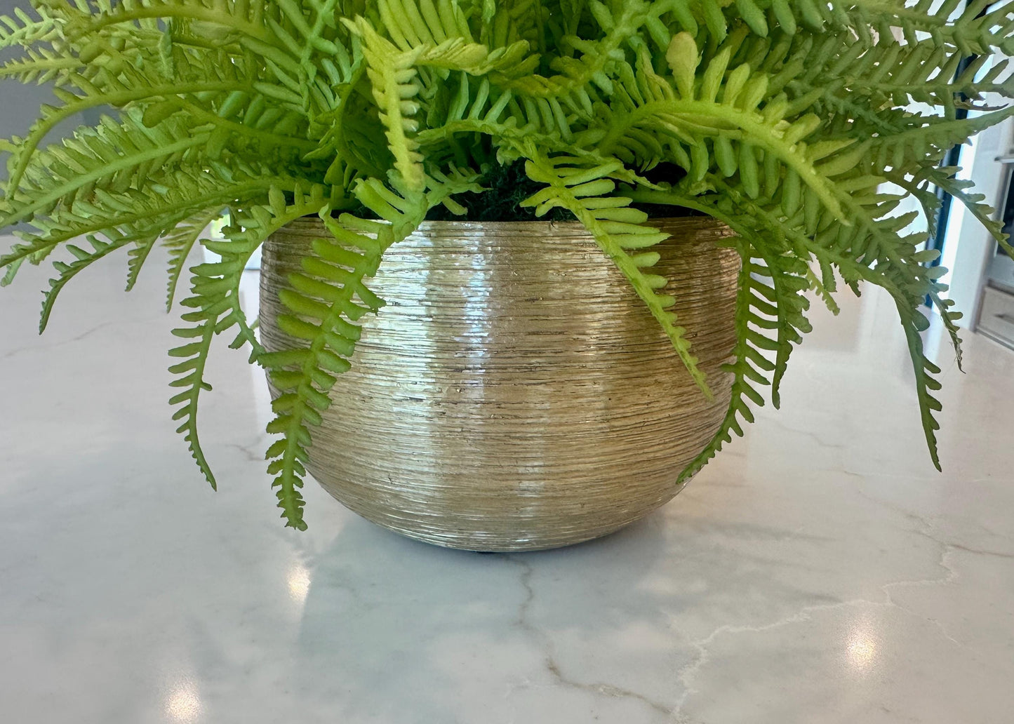 Luxury Real Touch Fiddlehead Fern Arrangement, Ultra Realistic Faux Fern in Textured Gold Container, Modern Home Decor, Preserved Moss Base,