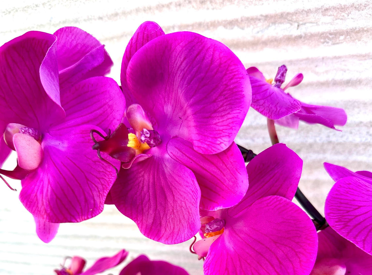 Real Touch Yellow or Fuchsia Orchid Arrangement: Tall Faux Centerpiece