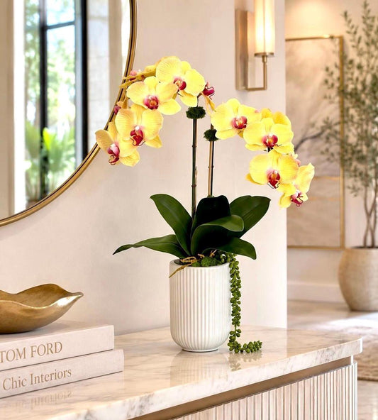 Real Touch Yellow or Fuchsia Orchid Arrangement: Tall Faux Centerpiece