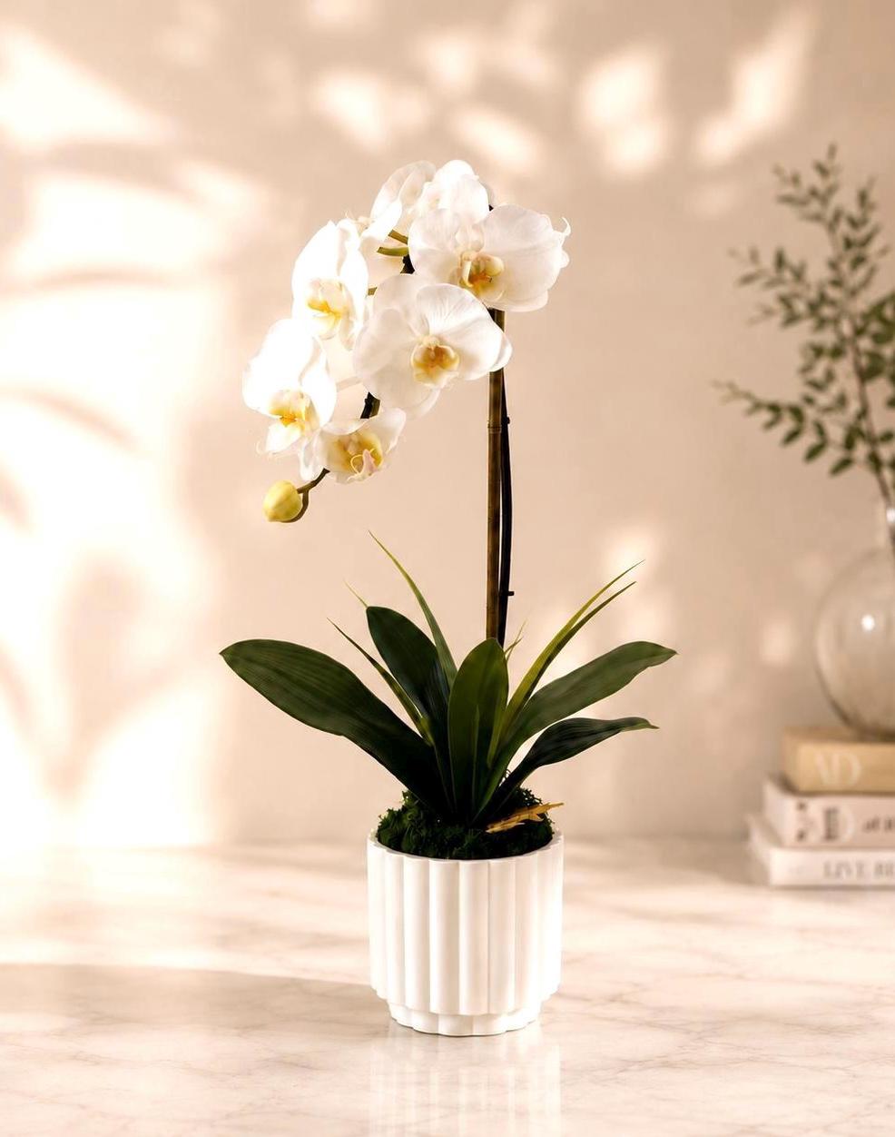 Real Touch White Orchid Arrangement in White Ceramic Pot, 18” Tall Faux Orchid, Luxury Orchid Centerpiece, Modern Home Decor