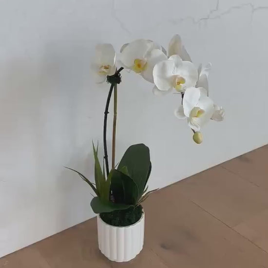 Real Touch White Orchid Arrangement in White Ceramic Pot, 18” Tall Faux Orchid, Luxury Orchid Centerpiece, Modern Home Decor