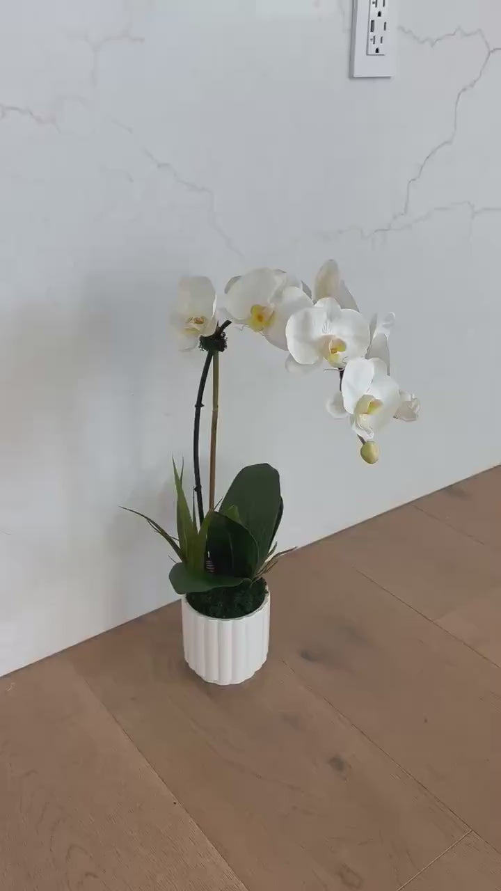Real Touch White Orchid Arrangement in White Ceramic Pot, 18” Tall Faux Orchid, Luxury Orchid Centerpiece, Modern Home Decor