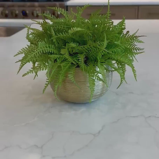 Luxury Real Touch Fiddlehead Fern Arrangement, Ultra Realistic Faux Fern in Textured Gold Container, Modern Home Decor, Preserved Moss Base,