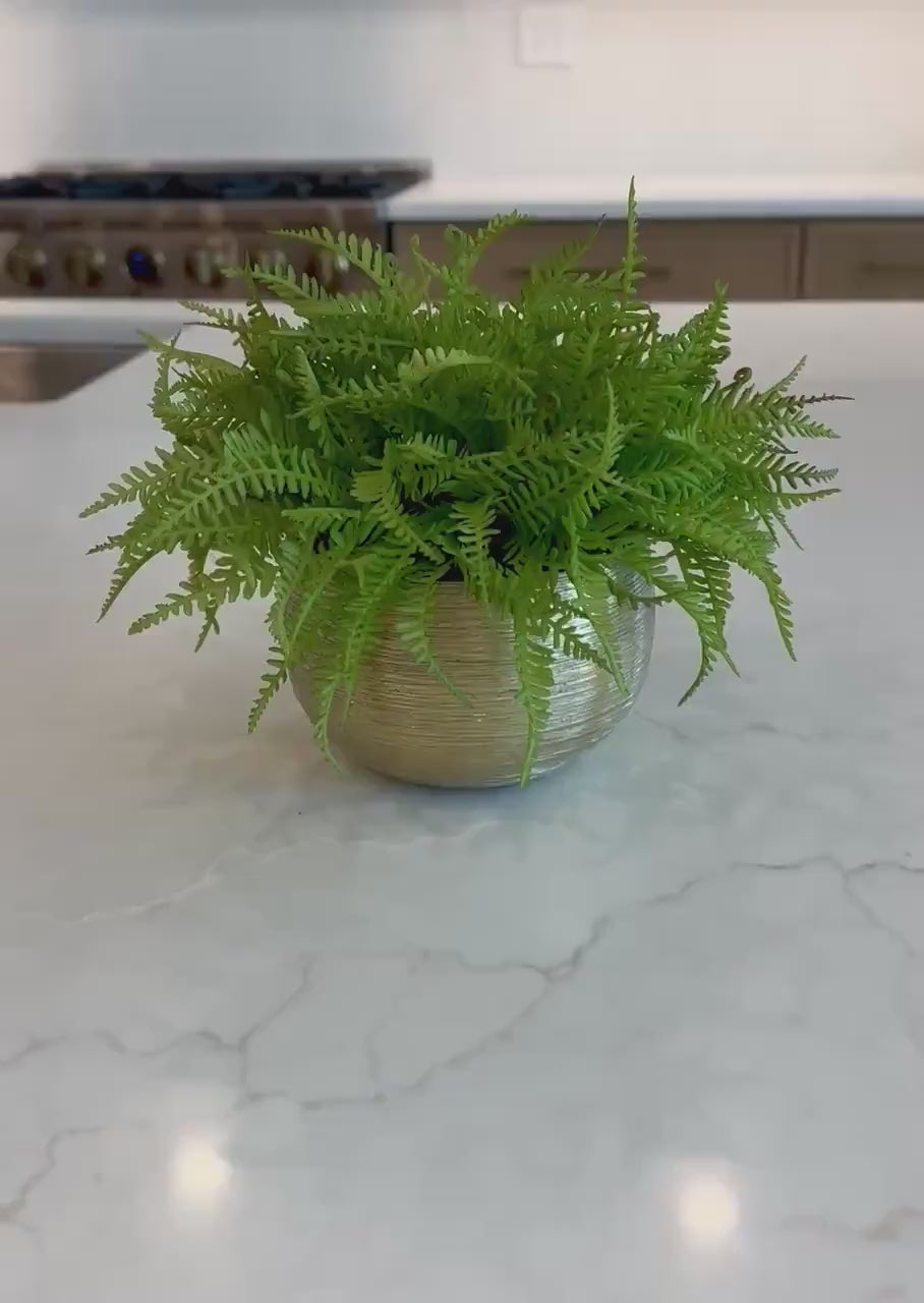 Luxury Real Touch Fiddlehead Fern Arrangement, Ultra Realistic Faux Fern in Textured Gold Container, Modern Home Decor, Preserved Moss Base,